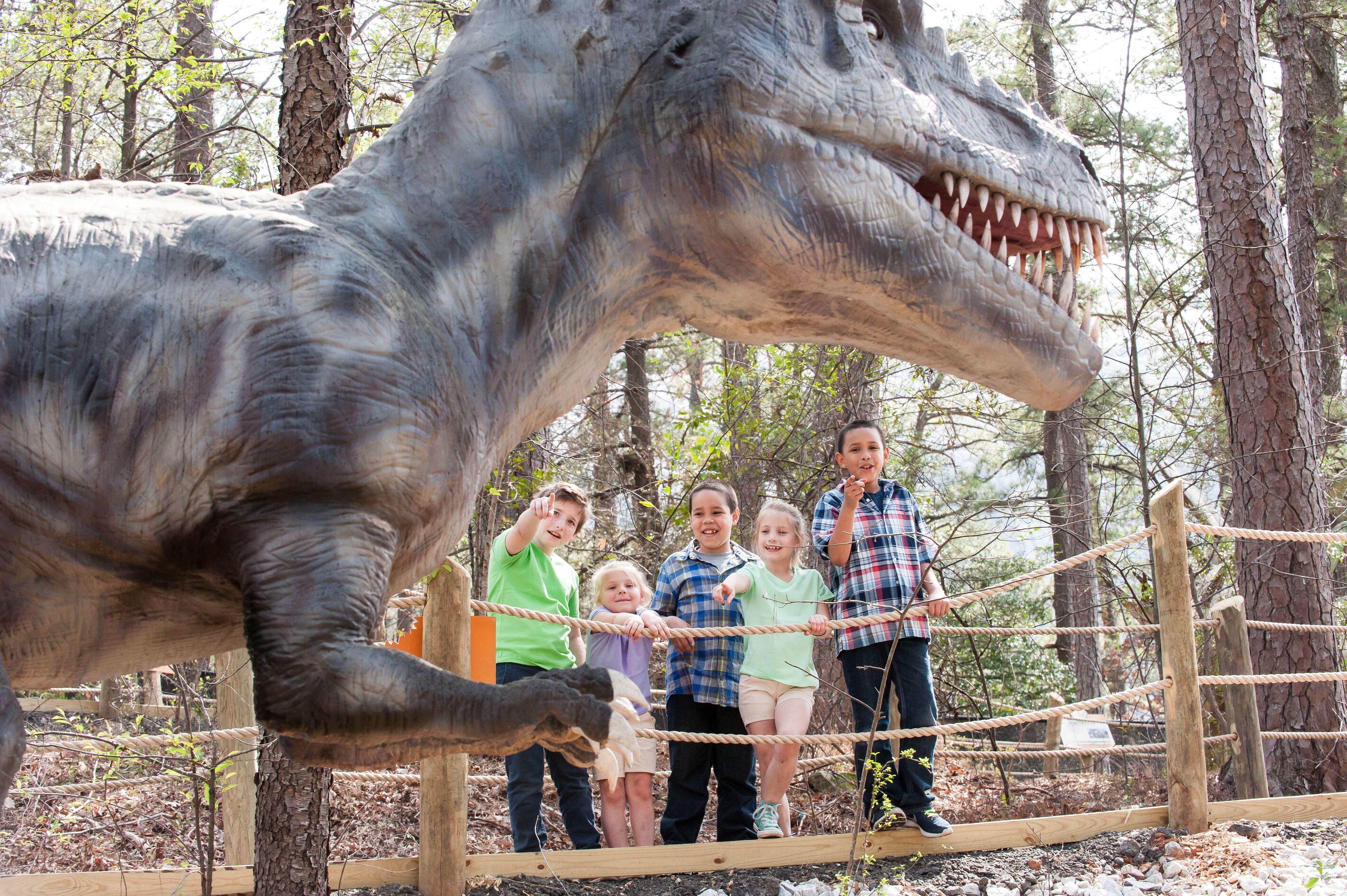 Atlanta Evergreen Lakeside Resort Gunung Stone Luaran gambar