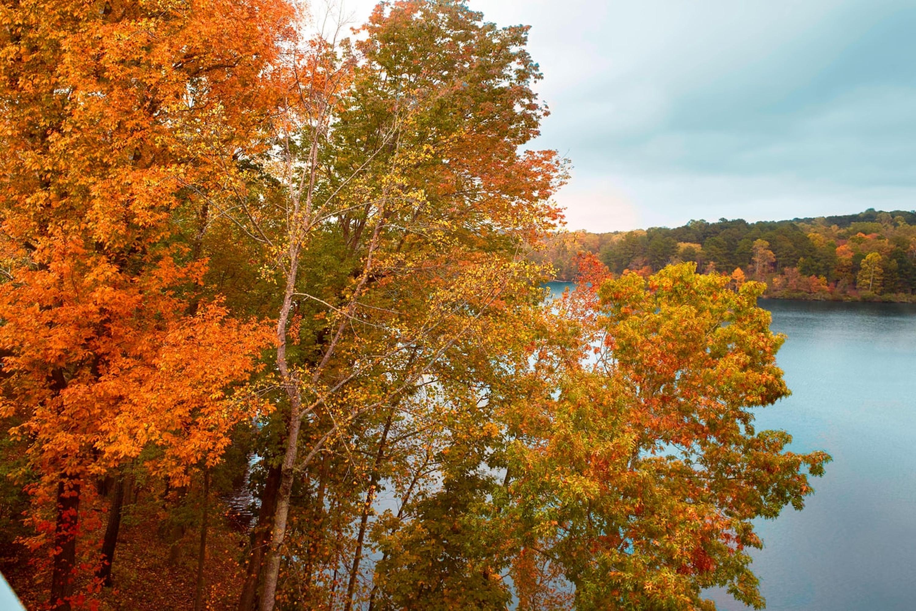 Atlanta Evergreen Lakeside Resort Gunung Stone Luaran gambar